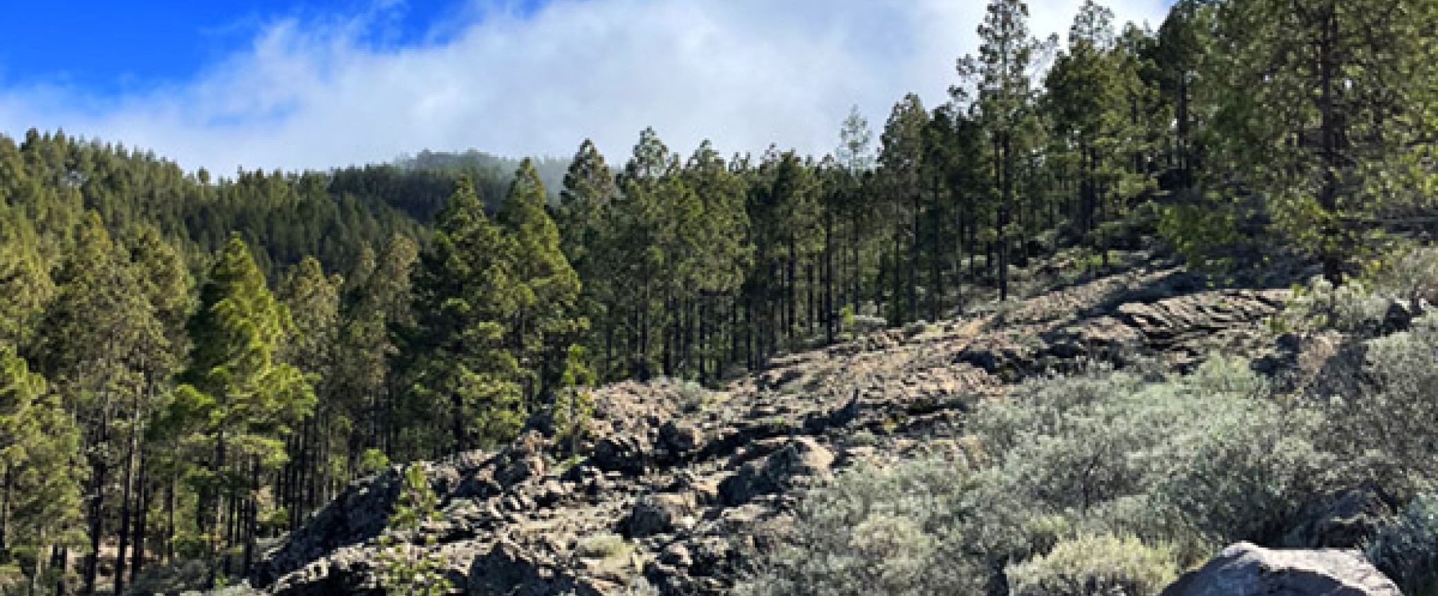 guided hiking tour on gran canaria to santa lucia