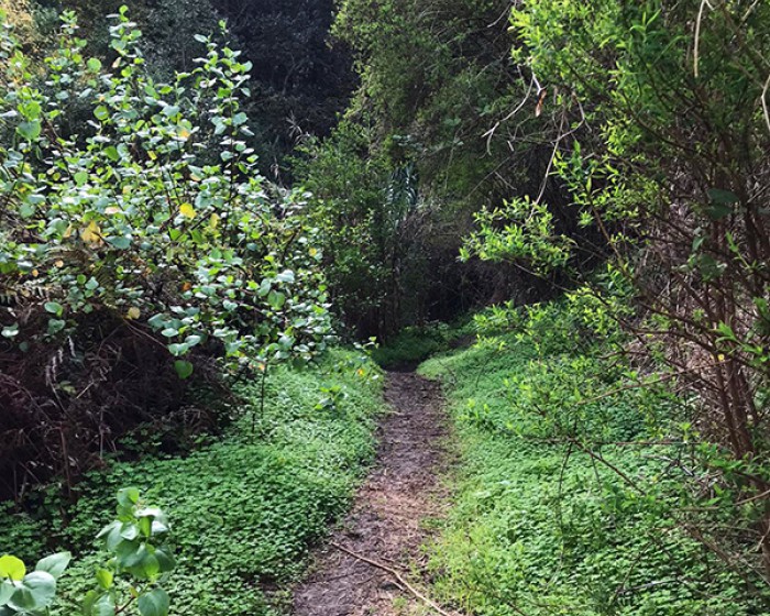 Wandern Auf Gran Canaria, Geführte Wanderungen Und Wanderurlaub